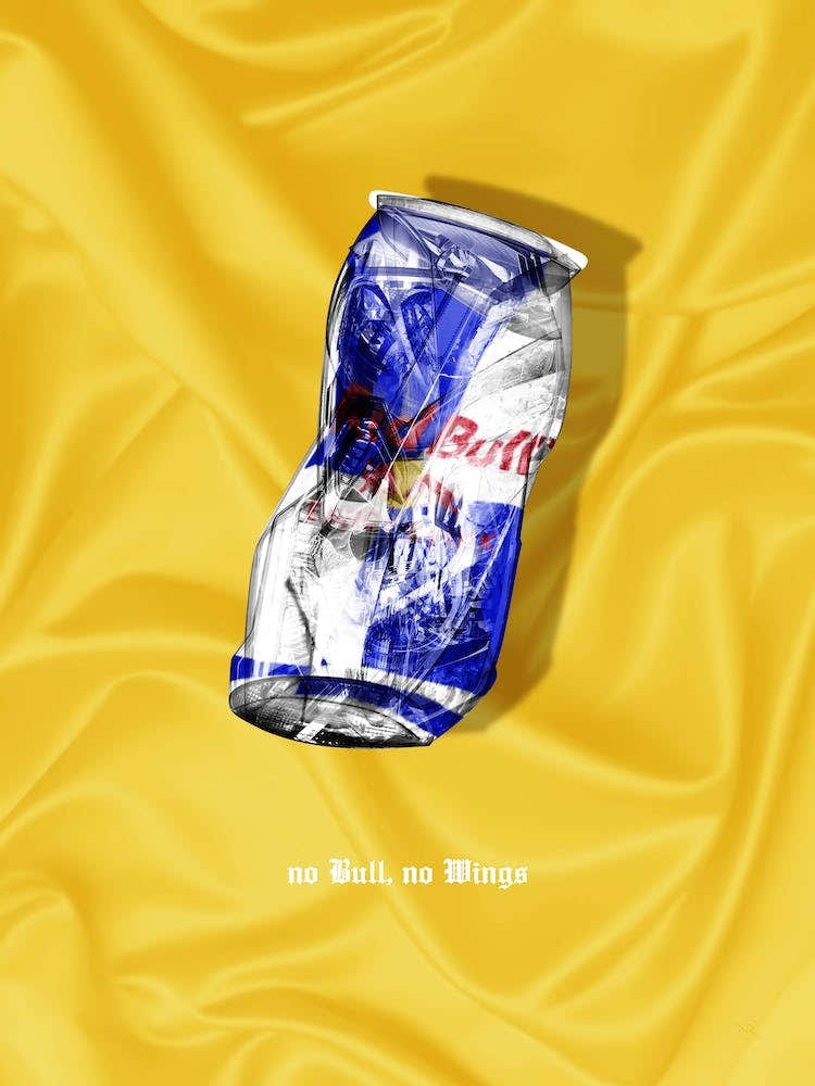No Bull No Wings