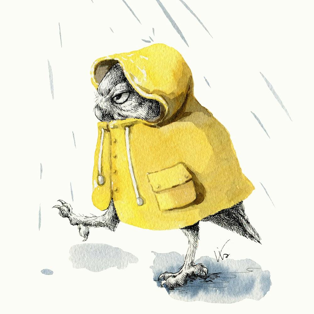 Rainy Day Square