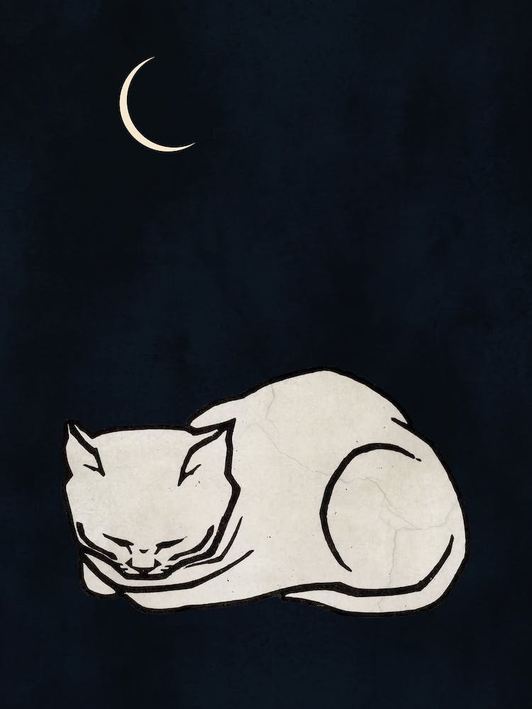 Cozy Dreams