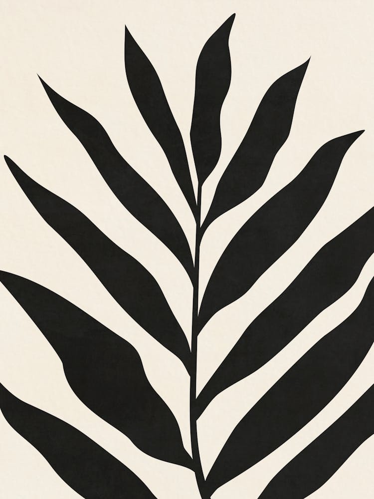 Palm Leaf - b02