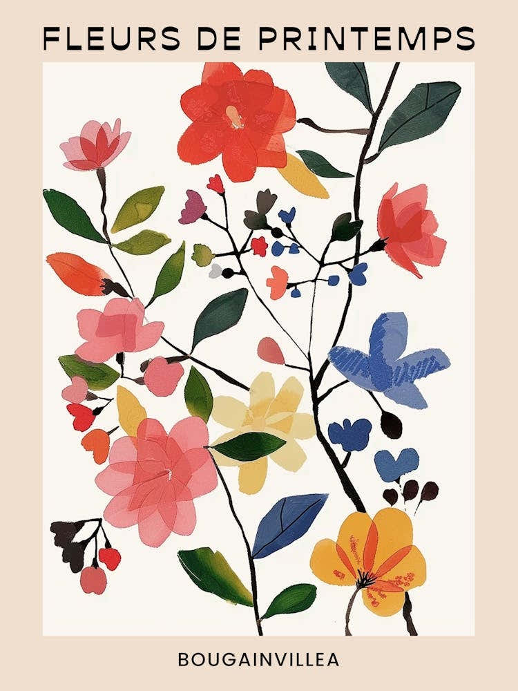 Spring Floral French Poster  Bougainvillea 2