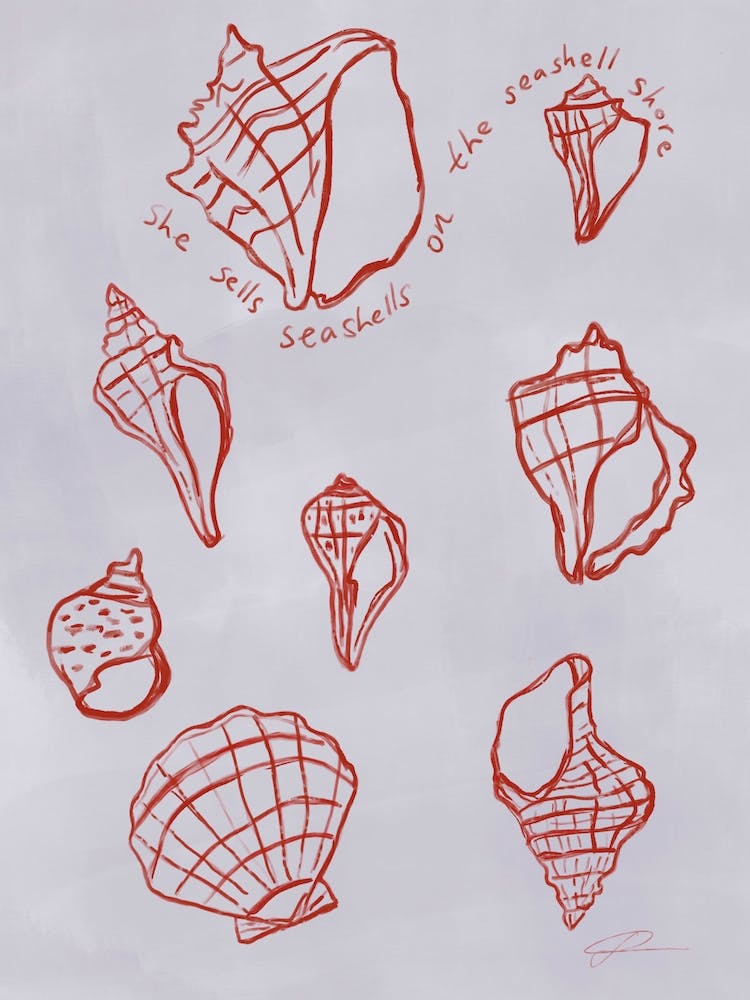 She Sells Seashells