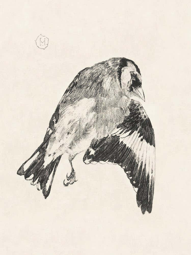 Death Putter (1878–1917), Theo Van Hoytema