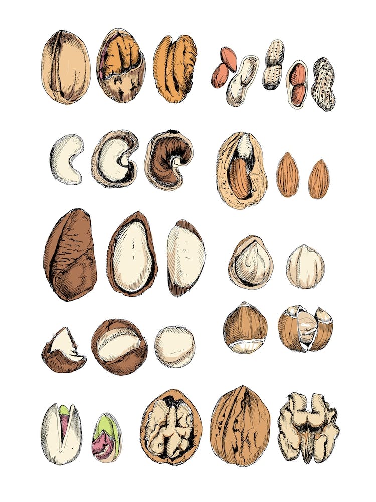 Nuts