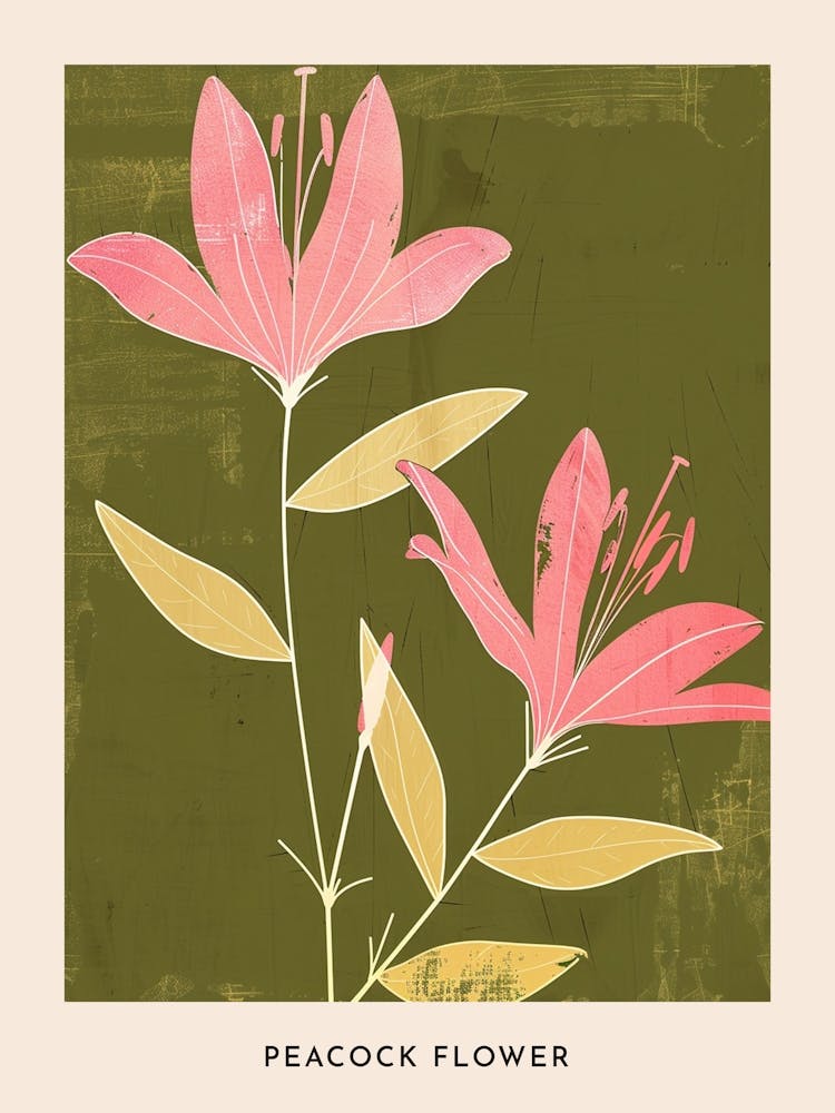 Pink & Green Peacock Flower 3 Flower Poster