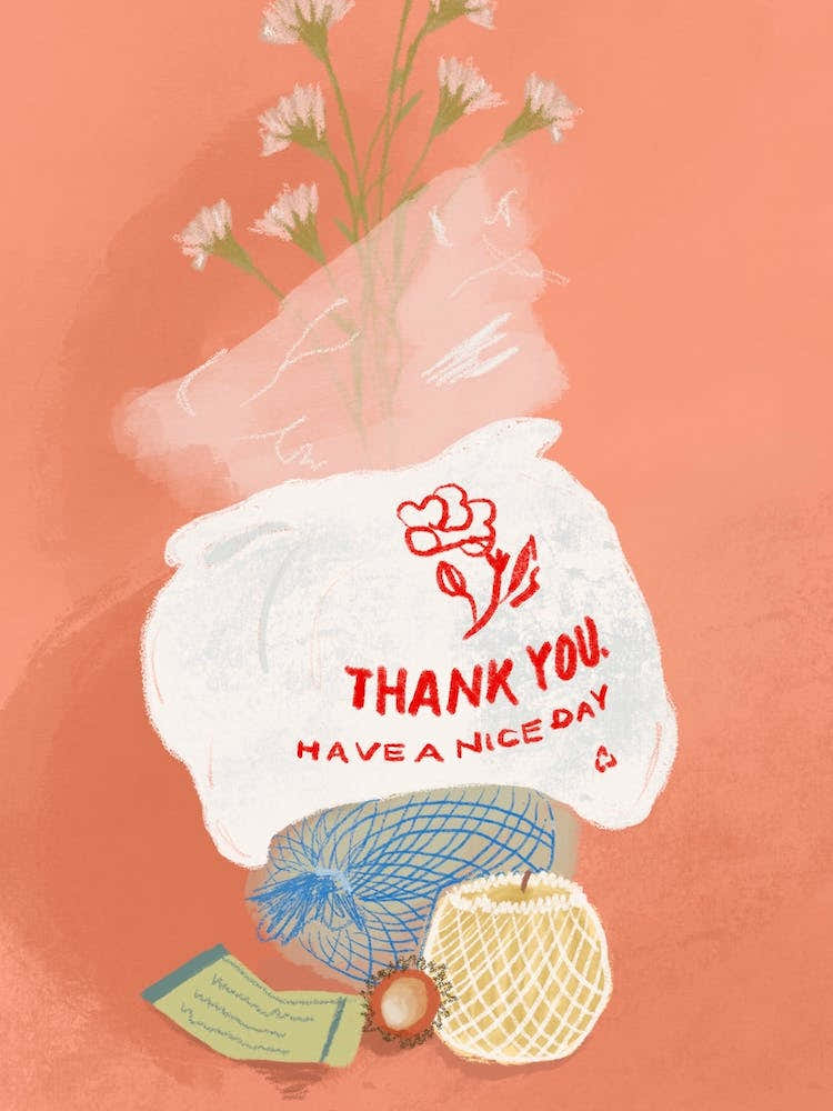 Shopping Bag Still Life