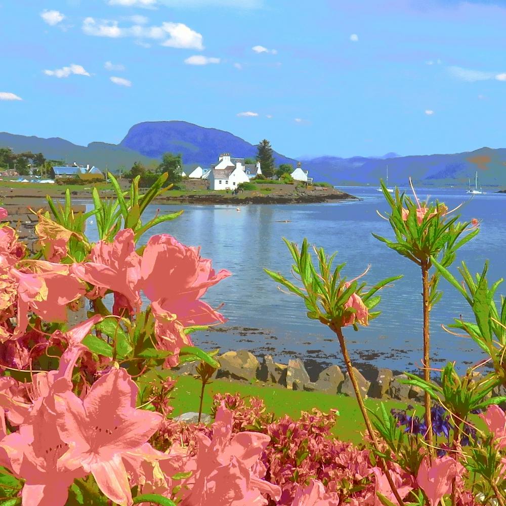 Scotland Landscape plockton Cool Pink Flora