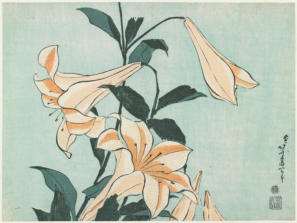 Lilies, Katsushika Hokusai 2