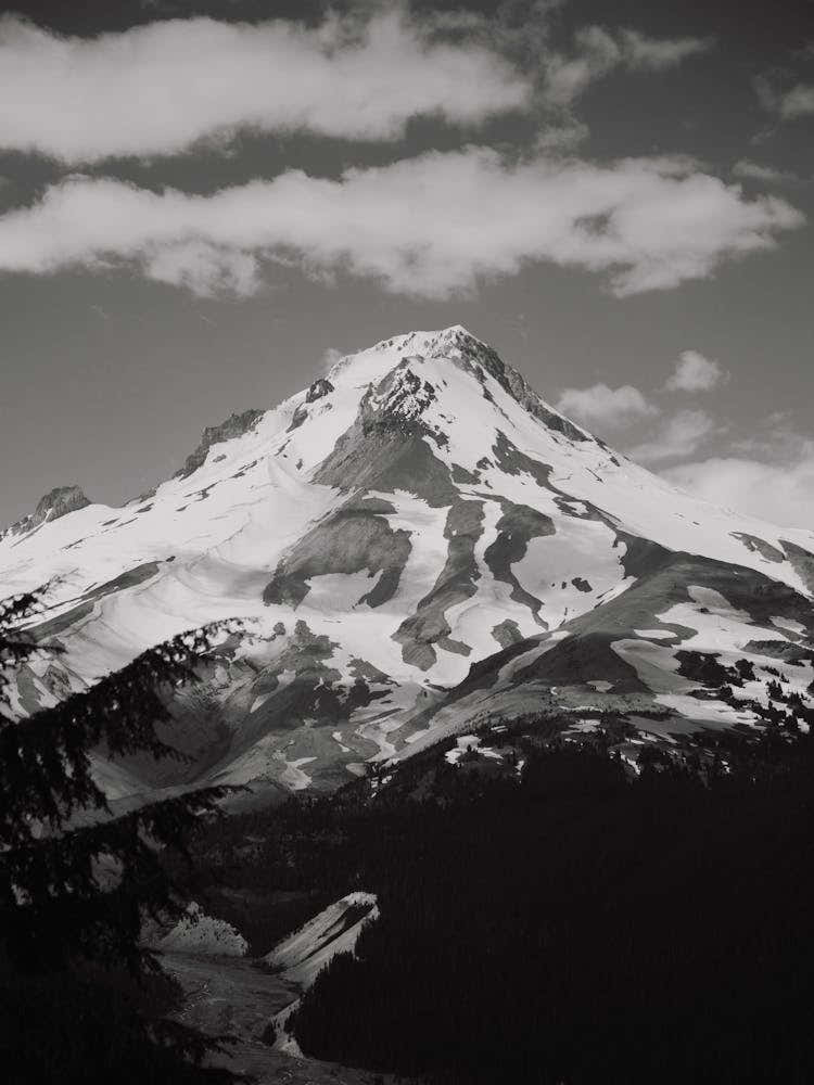 Mount Hood Black and White