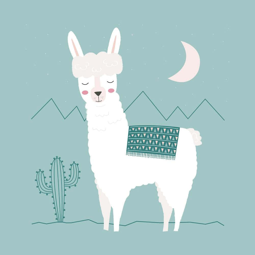 Alpaca In The Mountains