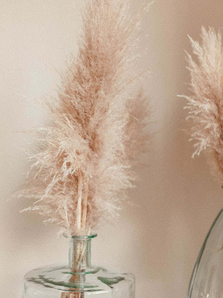 Pampa Grass Reeds Vase