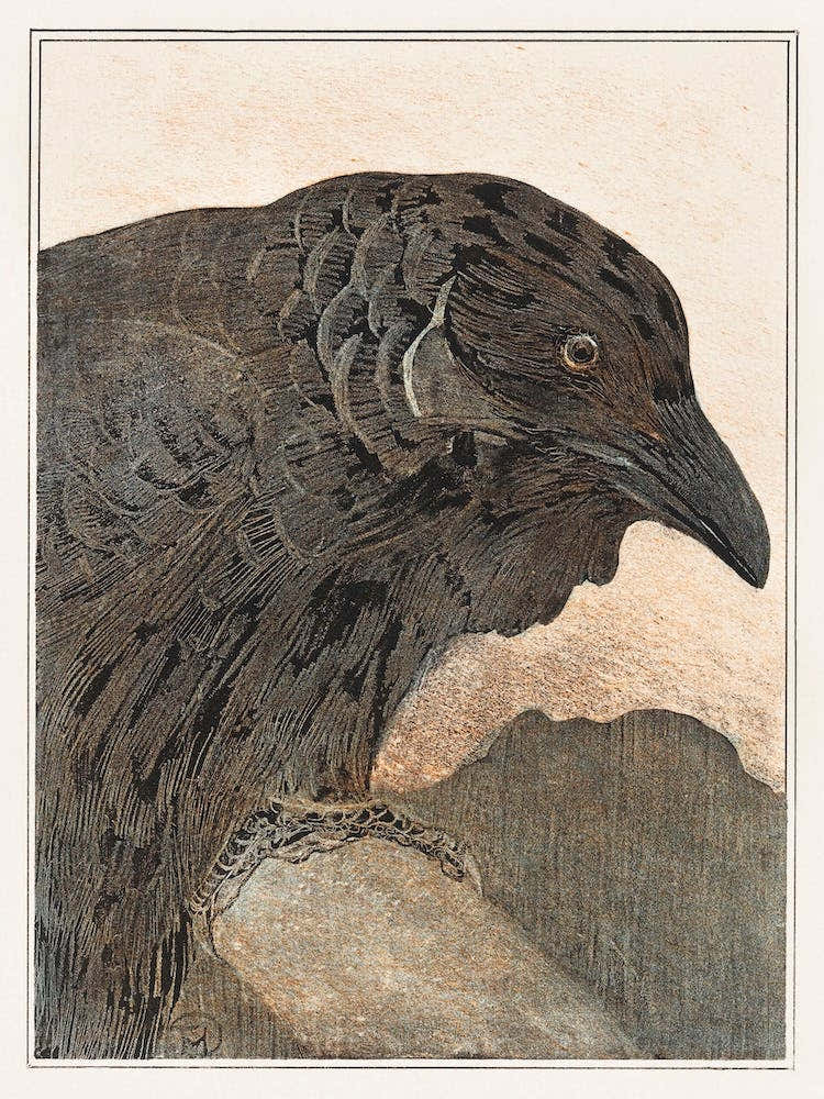 Crow (1878–1908), Theo Van Hoytema
