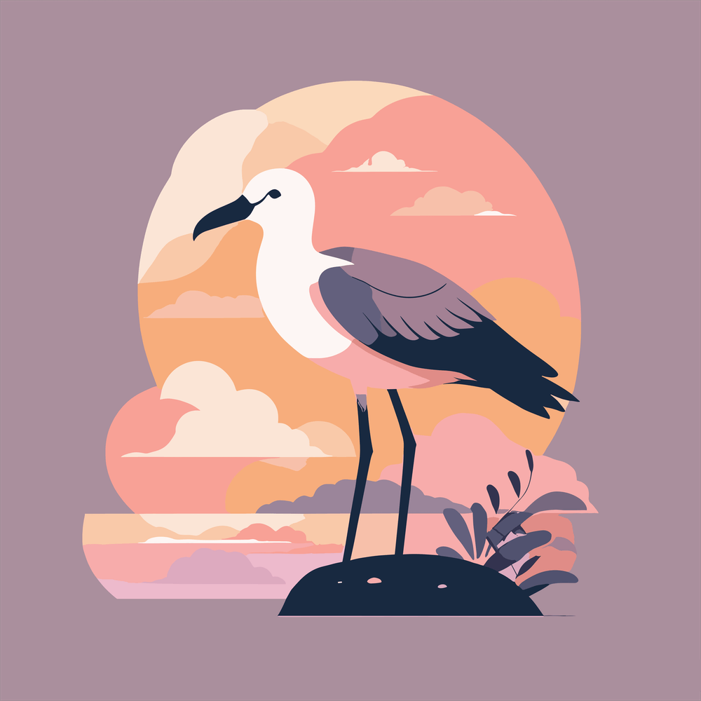 Seagull