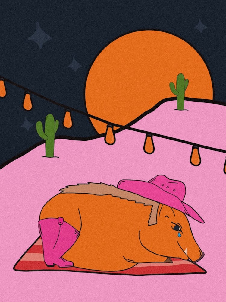 Sad Javelina in the Sonoran Desert