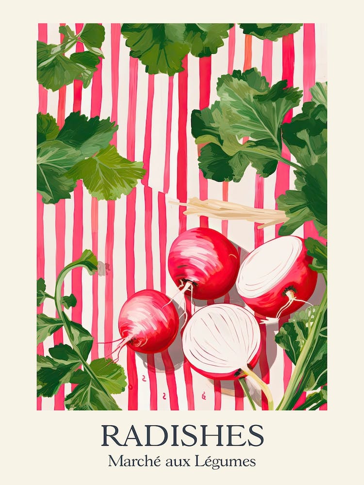 Marche Aux Legumes Radishes Summer Illustration 4