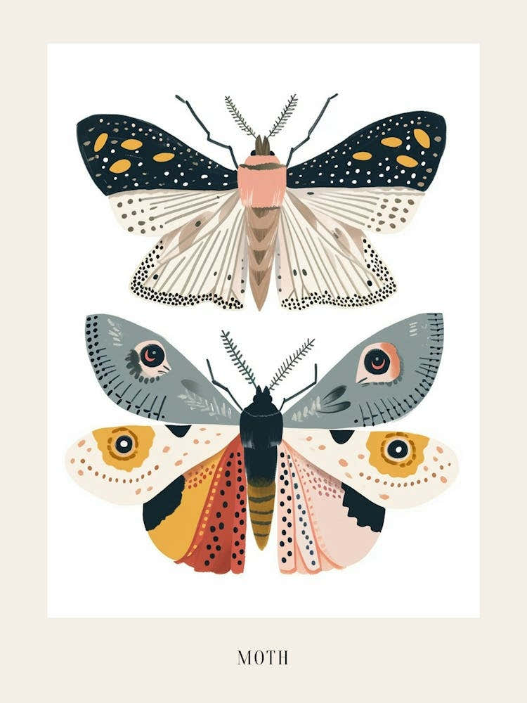 Colourful Insect Illustration Moth 26 Poster