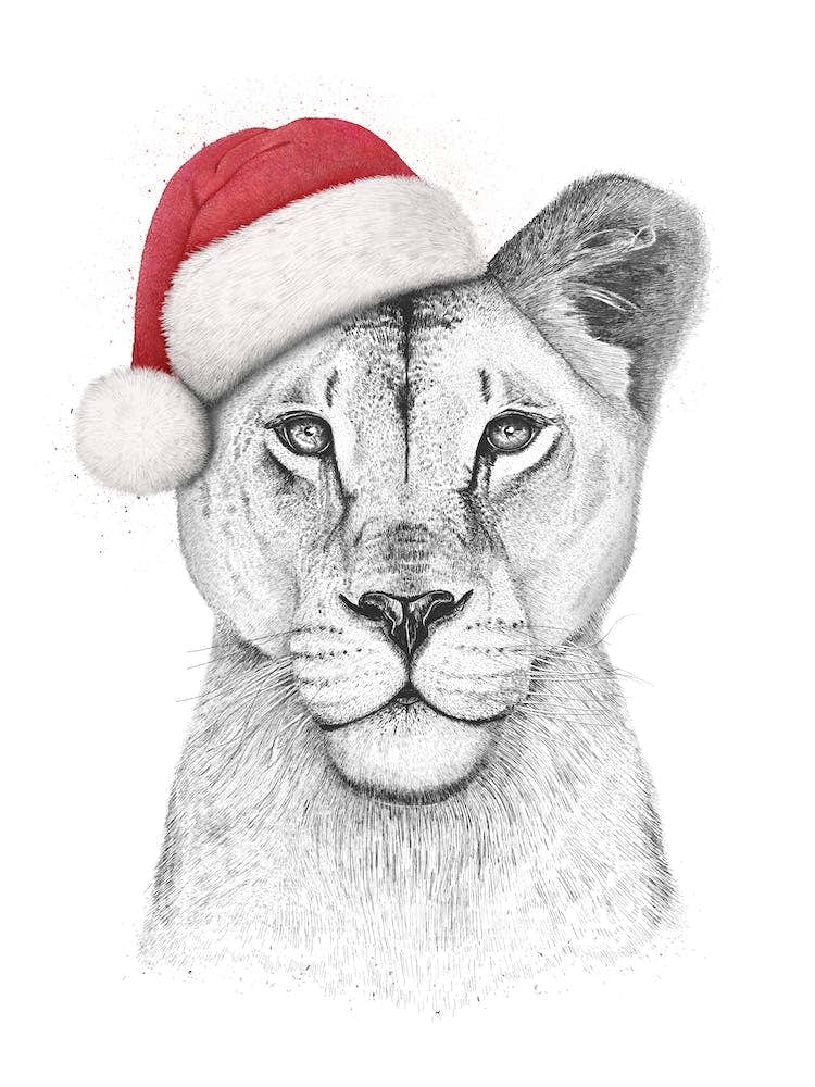 Christmas Lioness