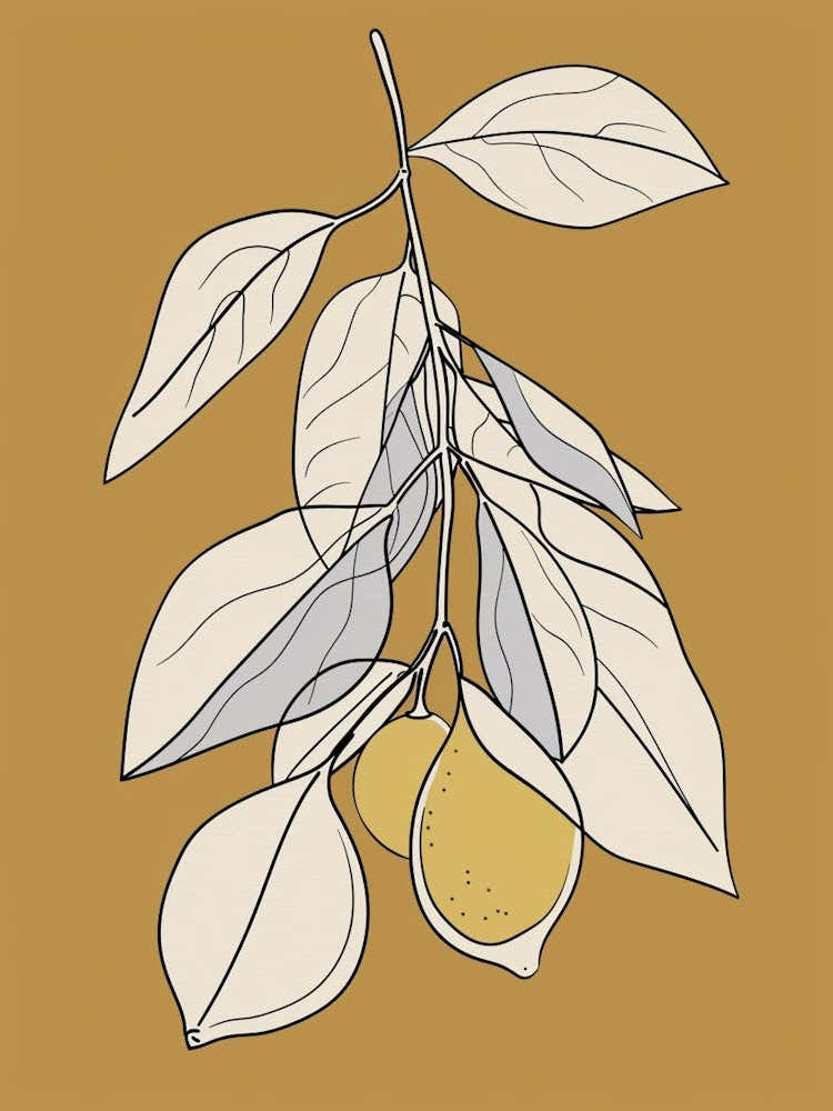 Lemon Tree Minimalistic Drawing 2
