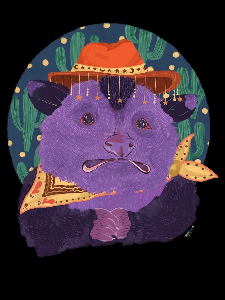 Opie the Cowboy Opossum