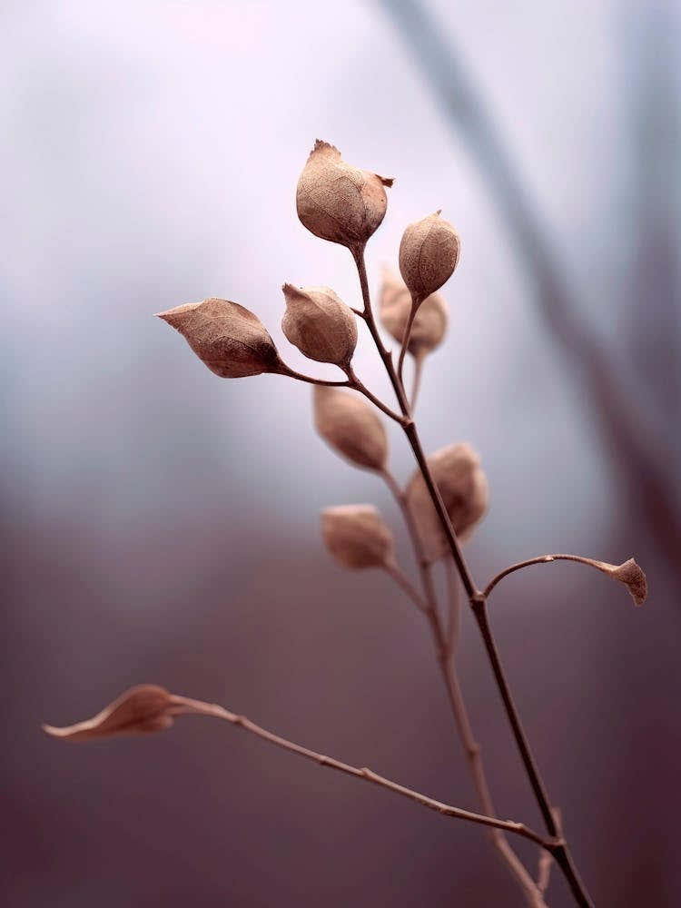 Nature Impression No 2