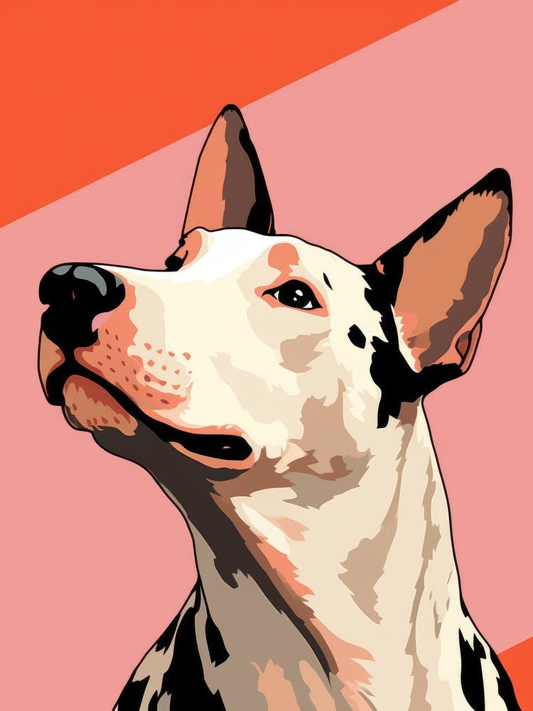 Bull Terrier 4