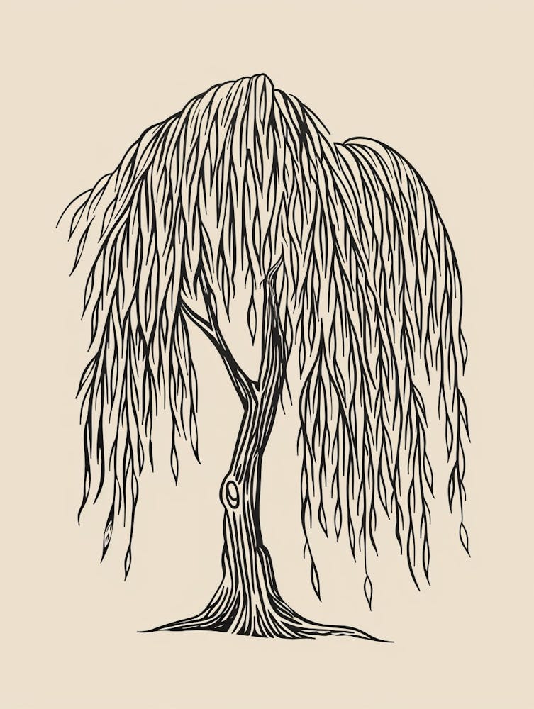 Willow Tree Minimalistic Drawing 3