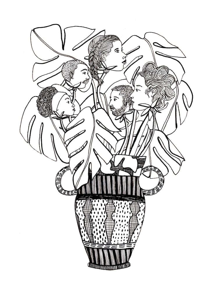 Friendly Faces Plant