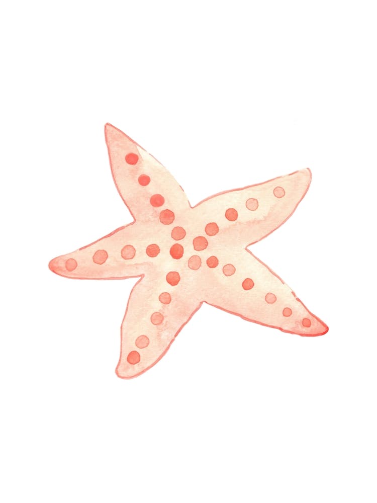 Starfish 1