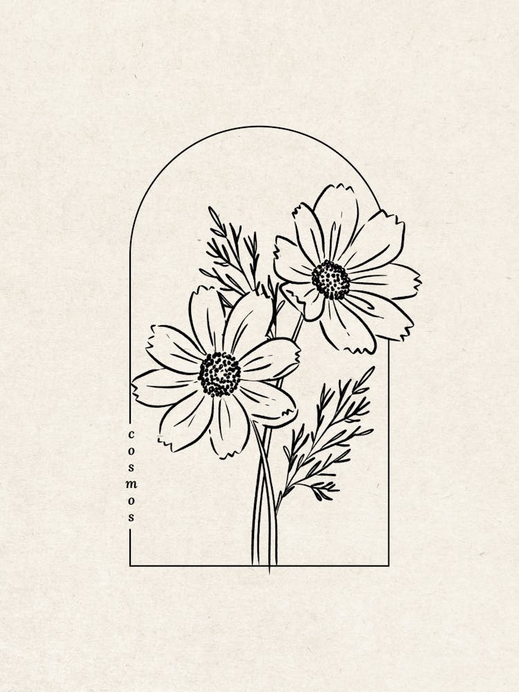Cosmos