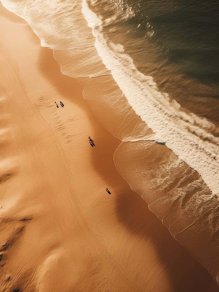 Aerial View Of A Beach In Warm Tones 4