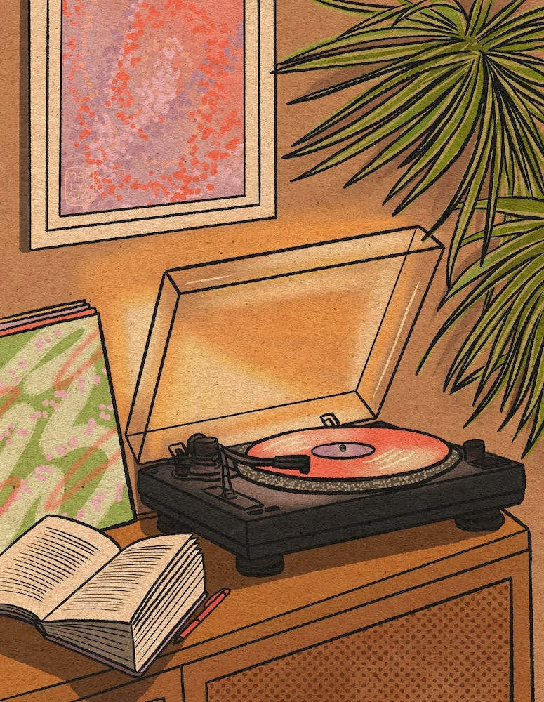 Cosy Vinyl Player