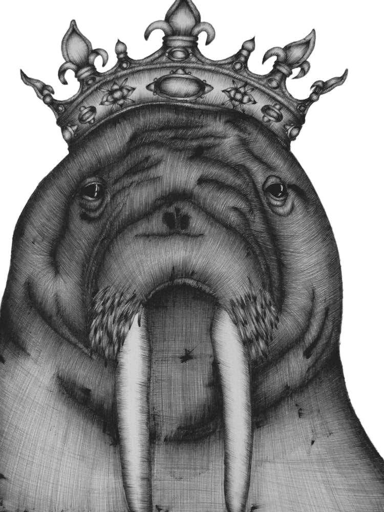 The Walrus King