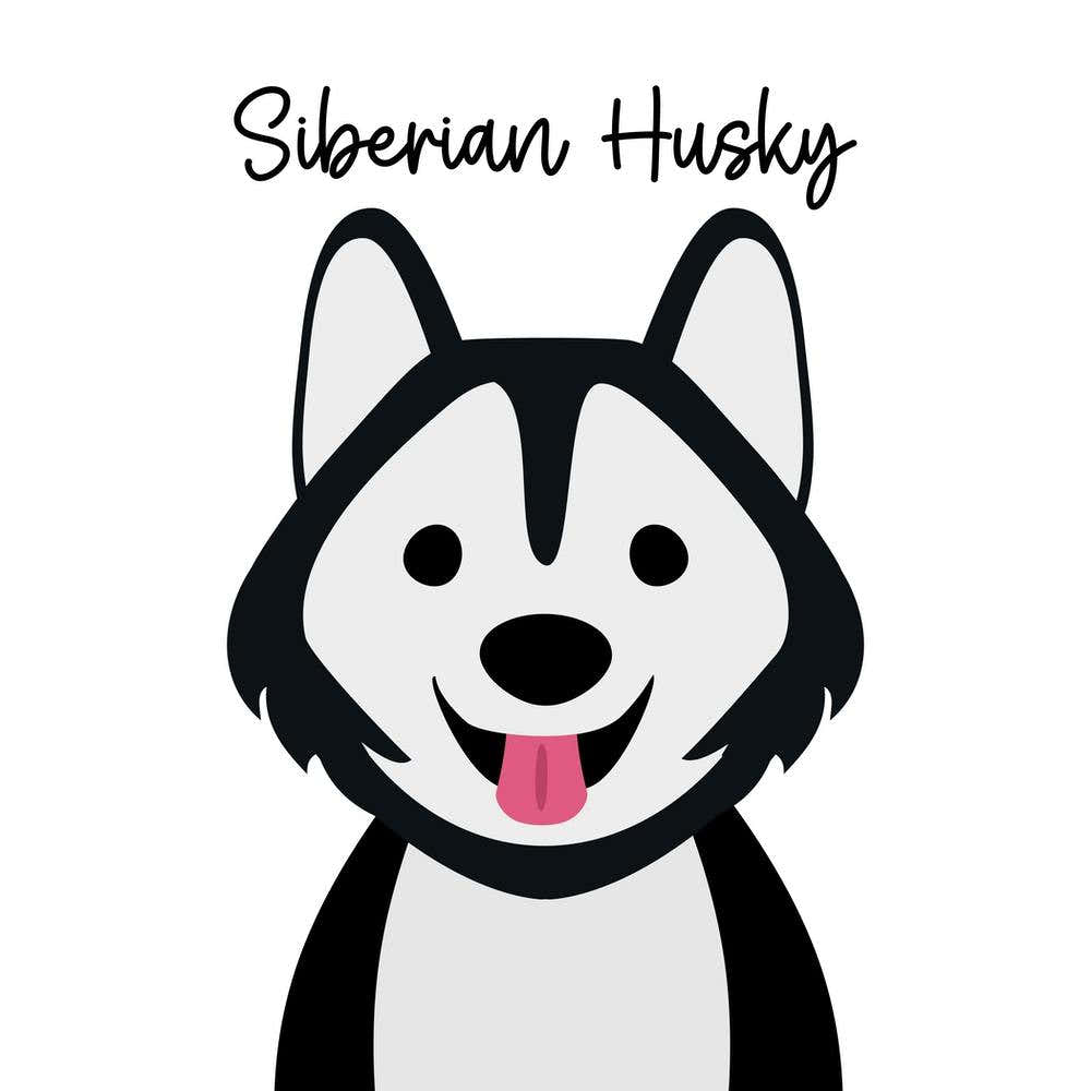 Siberian Husky