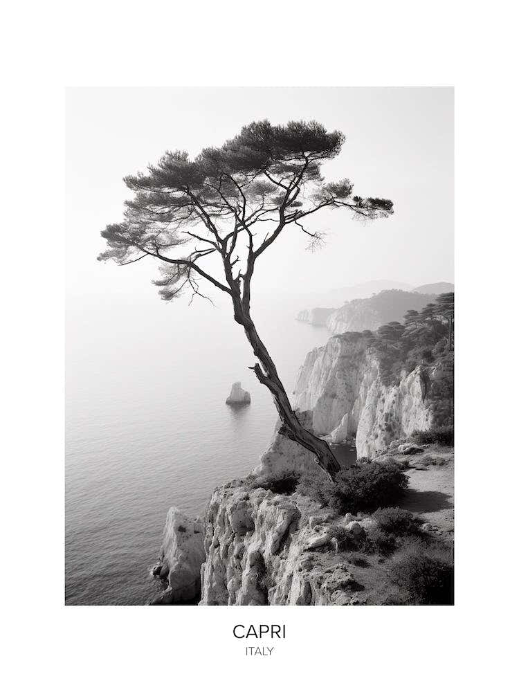 Poster Of Capri, Italy, Black And White Photo 2