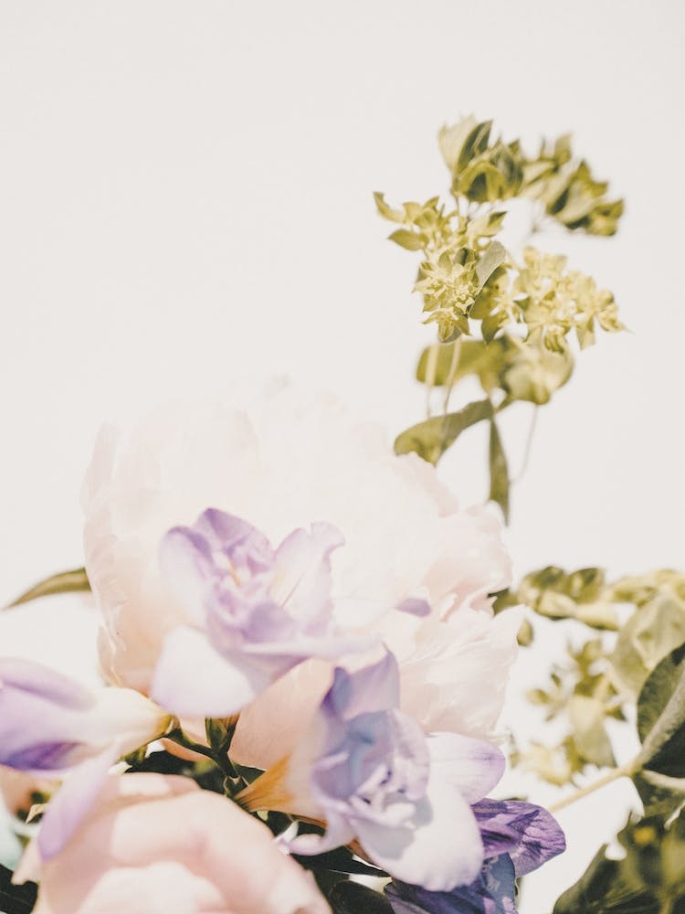 Floral Arrangement