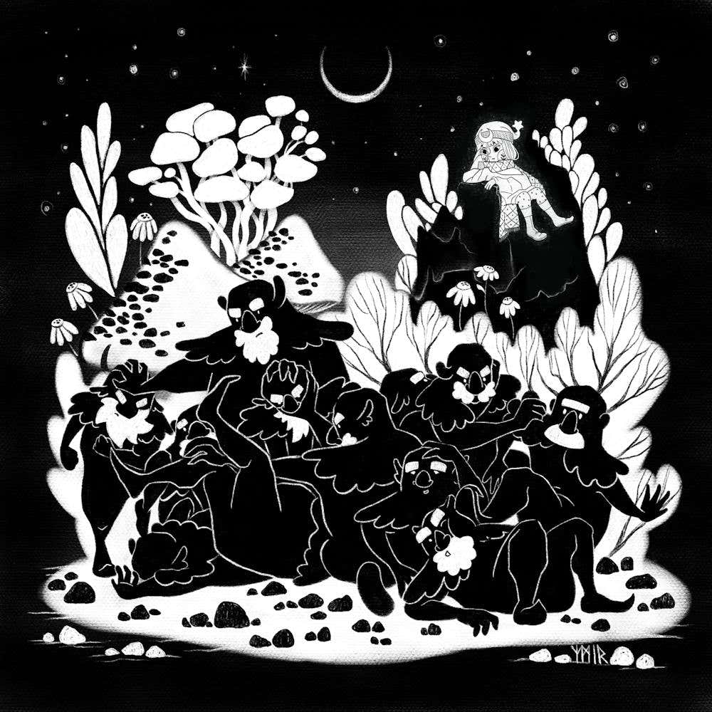 The Conflict in the Woods