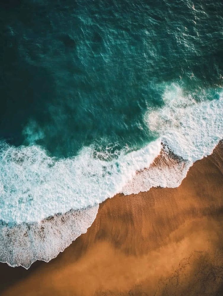 Beach - Beach Stock Videos & Royalty-Free Footage 10