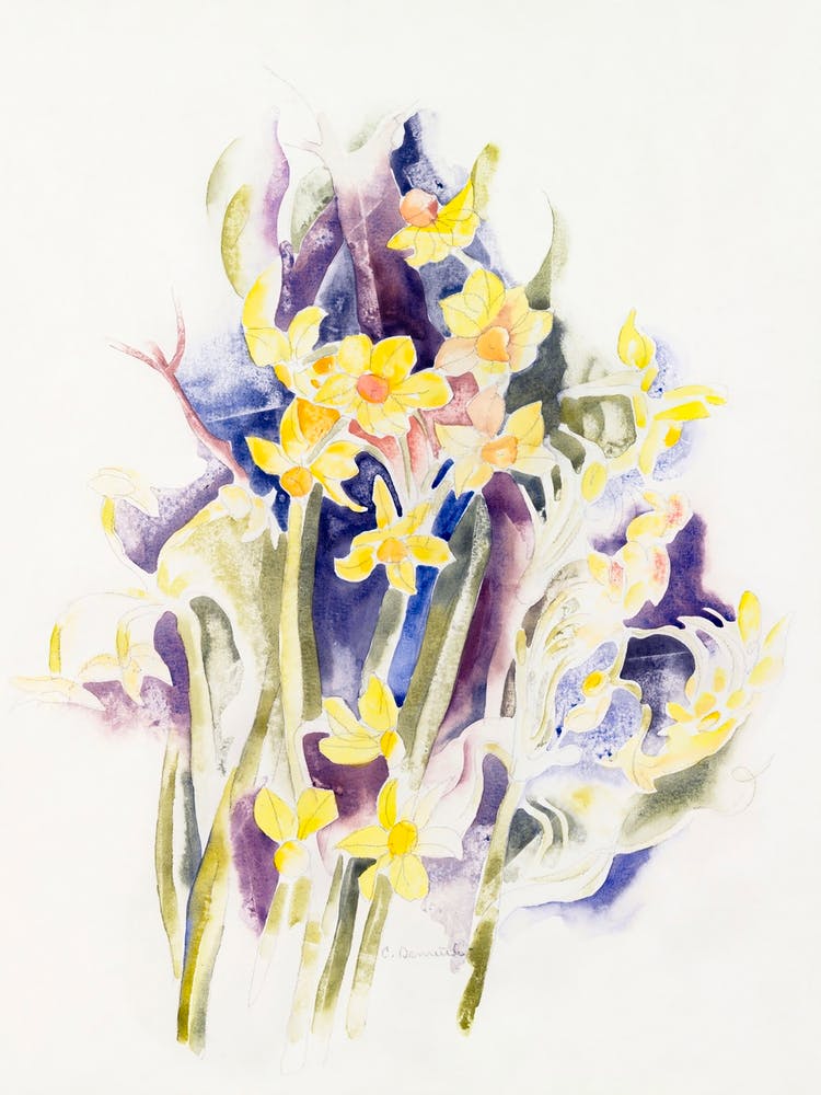 Small Daffodils (ca. 1914), Charles Demuth