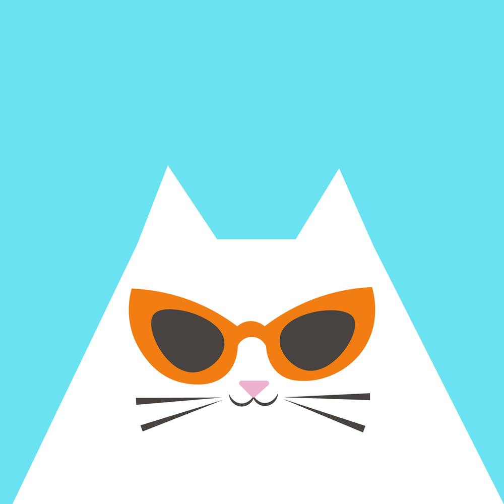 Cat In Sunglasses orange