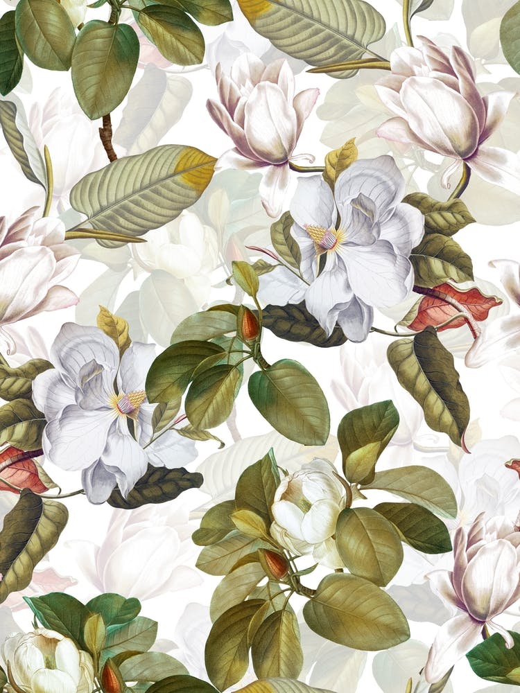 Lush White Magnolia Flowers