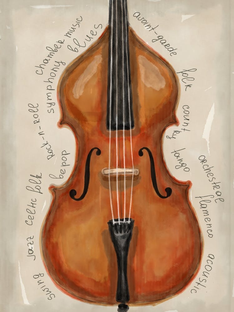 Acoustic Bass