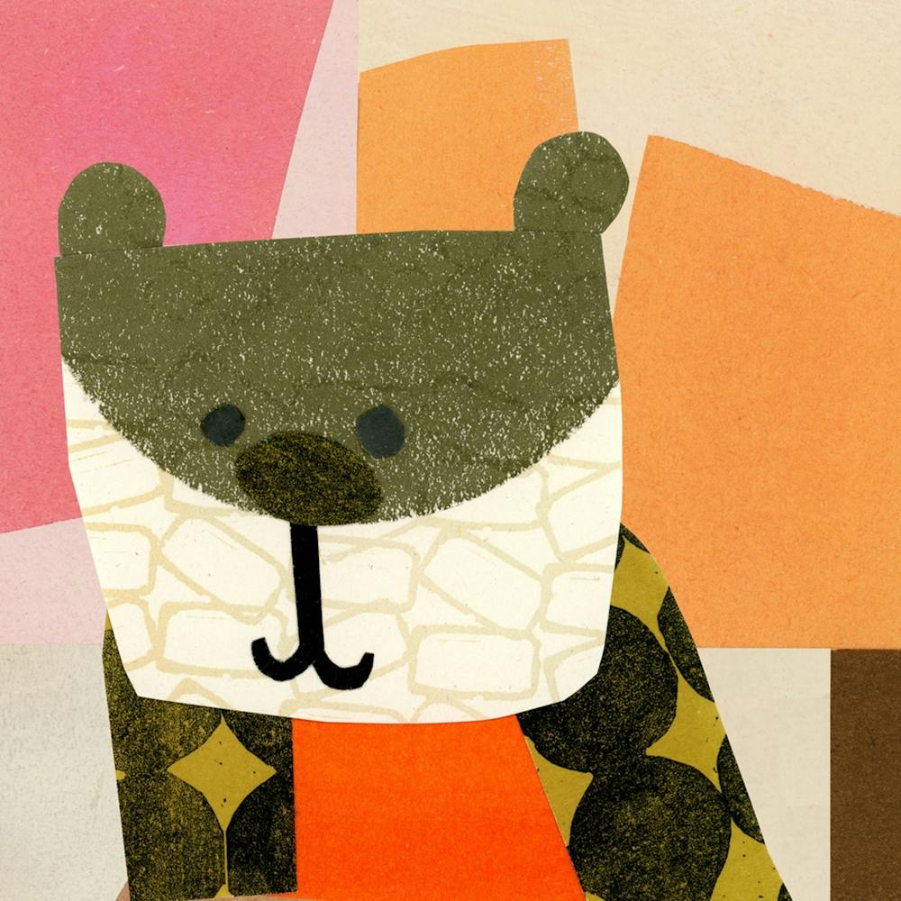 Bear with squares