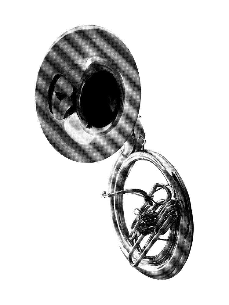 Cornet Sousaphone