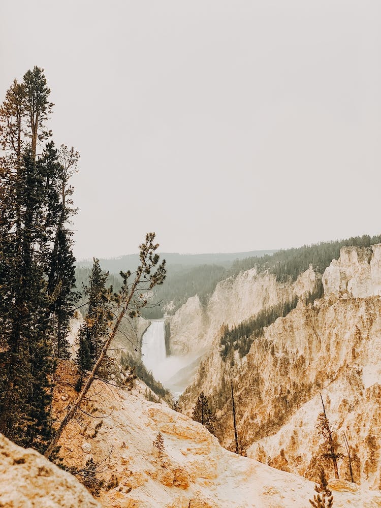 Yellowstone Landscape
