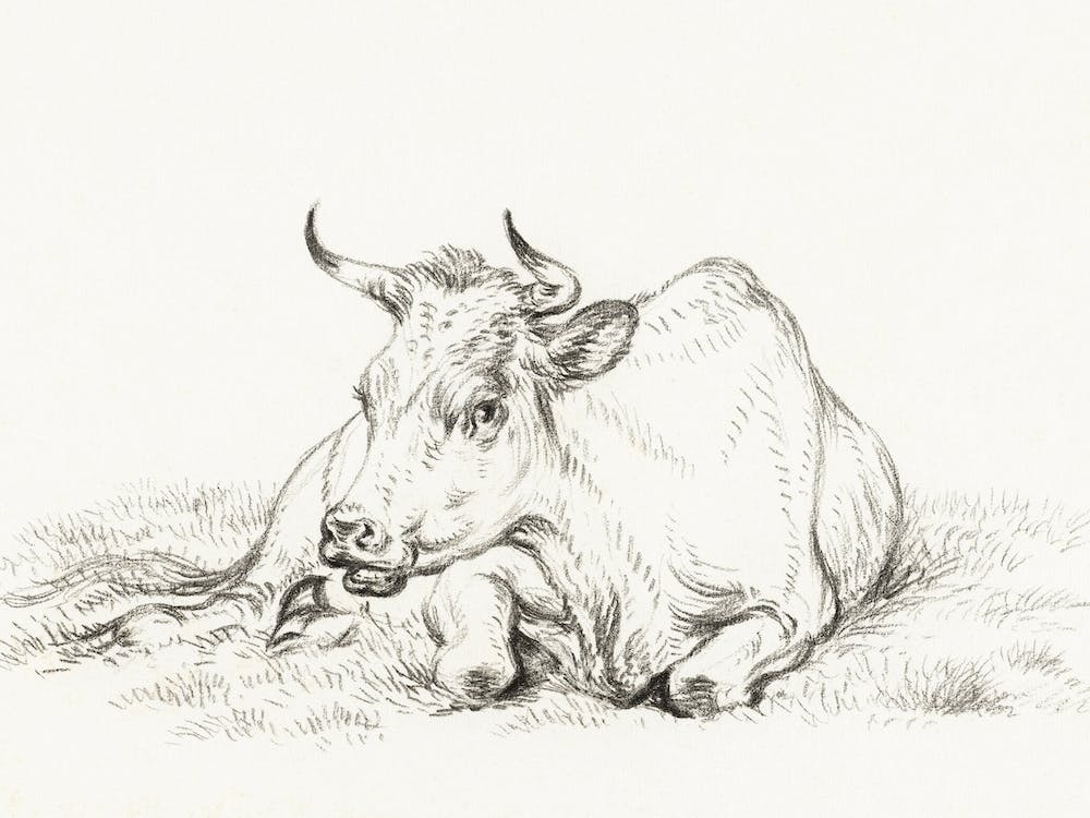 Lying Cow (1826), Jean Bernard