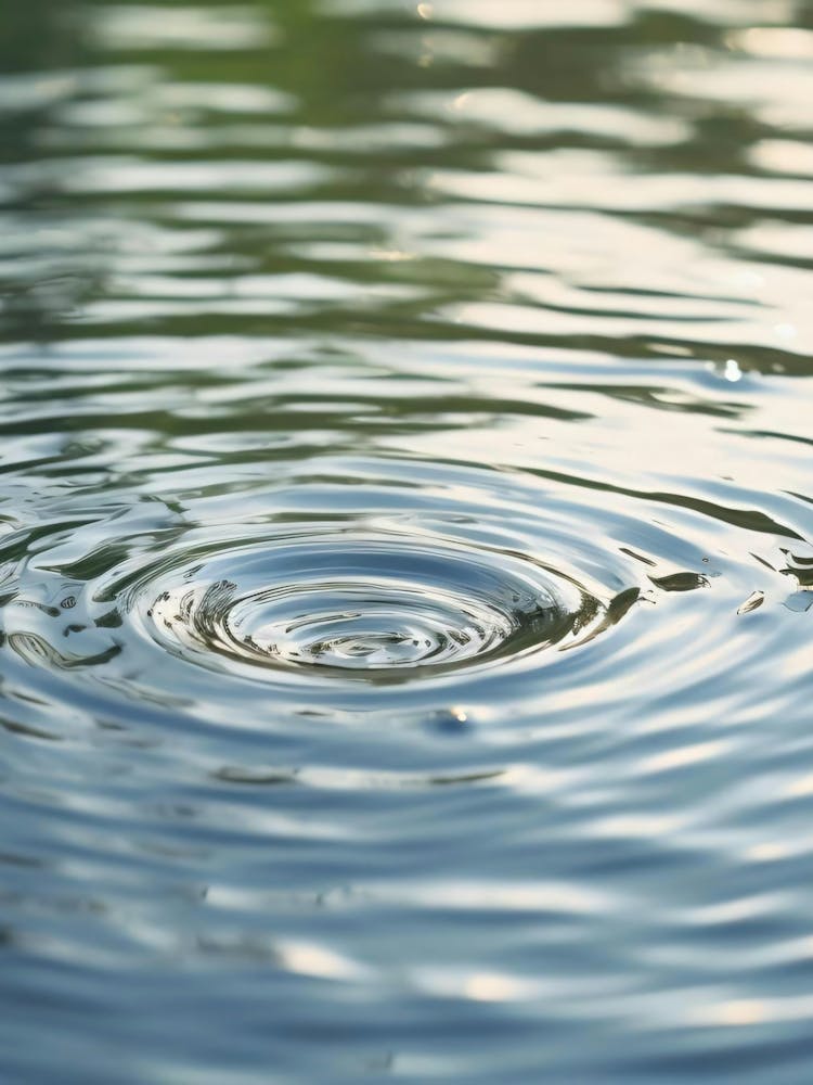 Ripples In The Water