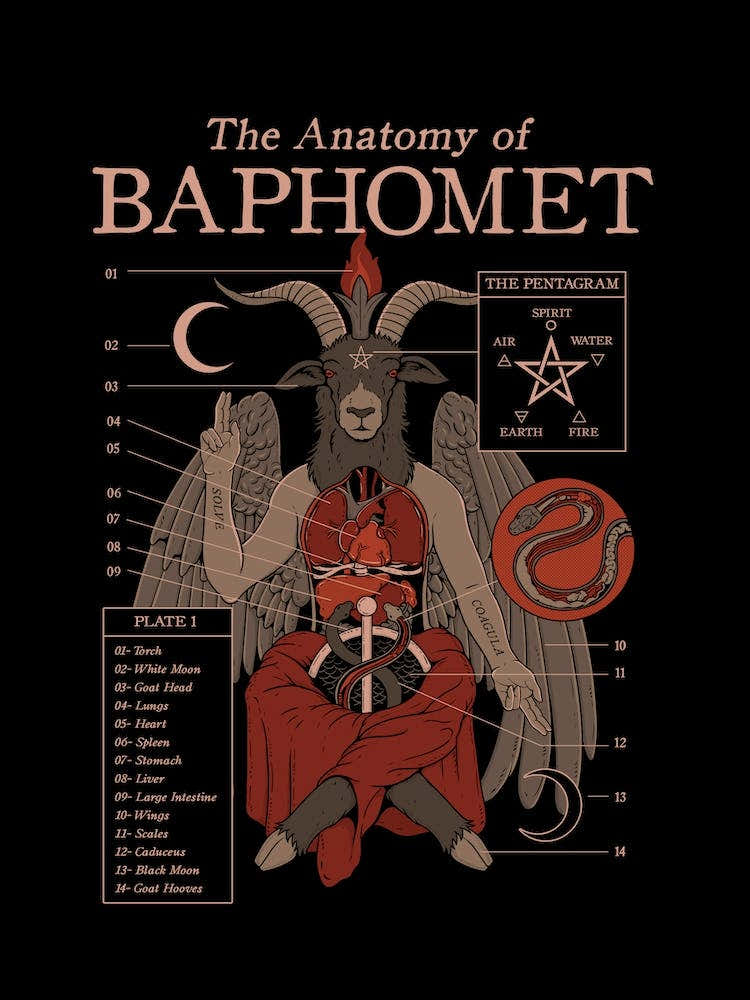The Anatomy Of Baphomet