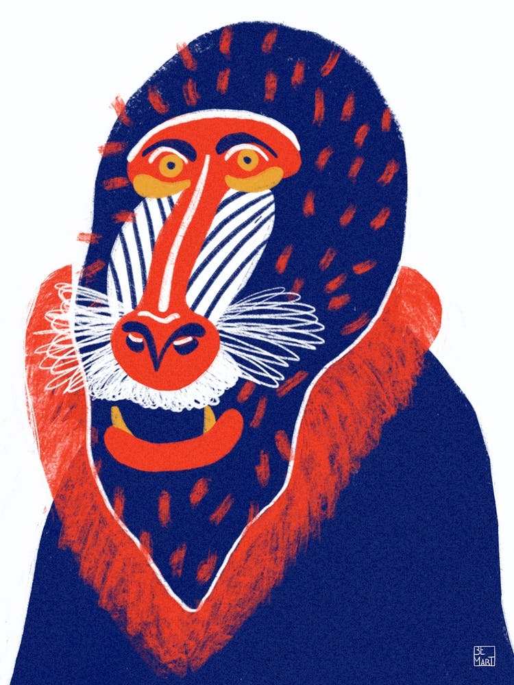 Rafiki