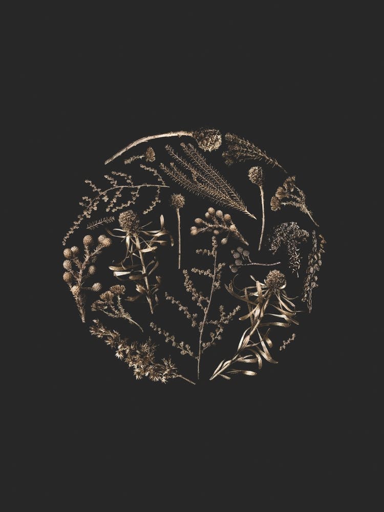 Golden Botanical Garden