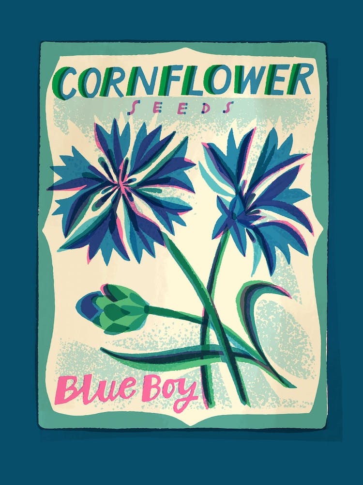 Cornflower Seed Packet